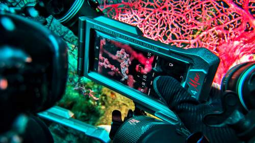 DIVEVOLK发起首届“我的手机水下奇遇”全球摄影大赛，旨在重新定义水下影像叙事