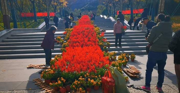 济南这一景区鲜花撤展，市民欣喜“领养”花卉带回家