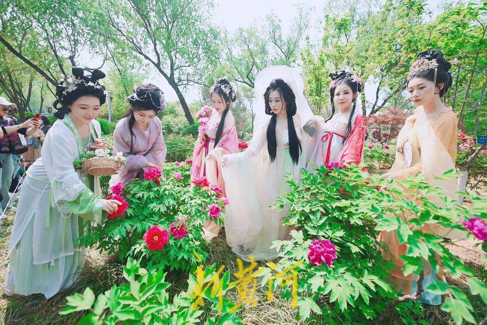 从小众到出圈，花朝节：被济南选中的美丽节日