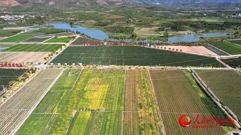 新春走基层｜三天VS五小时 博士PK“博士”