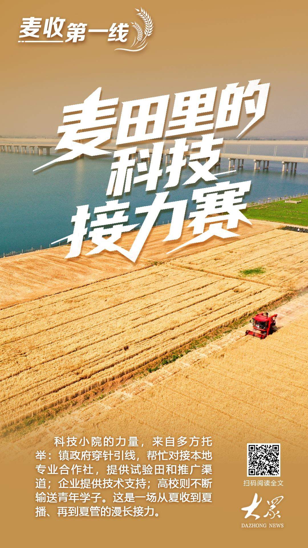 麦收第一线丨麦田里的科技接力赛