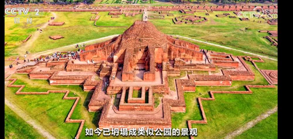 走进乌镇看科技对话文明 感受数字技术让文化遗产“活”起来神奇时刻