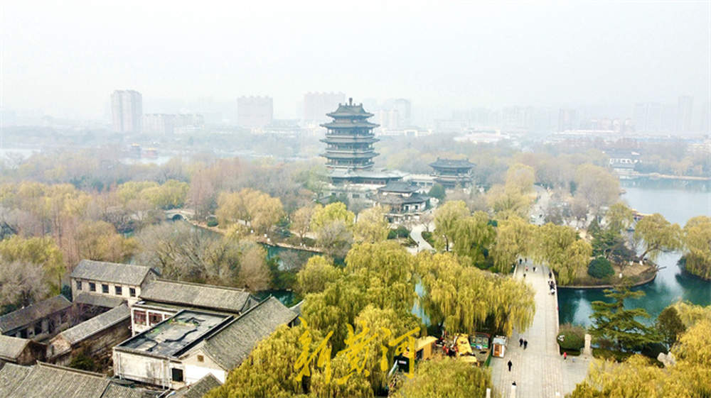 冬日大明湖：雾锁湖光，柳染冬韵