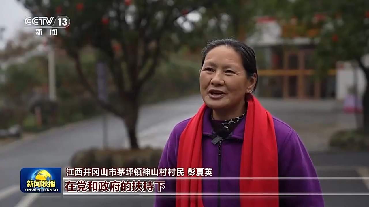情满中国年丨绘就宜居宜业和美乡村新画卷