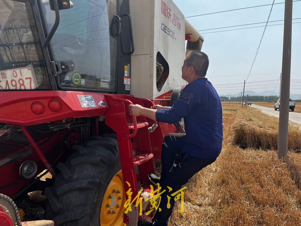 记者体验炙烤下的麦收：收割机驾驶室有空调，一小时割完20亩麦子