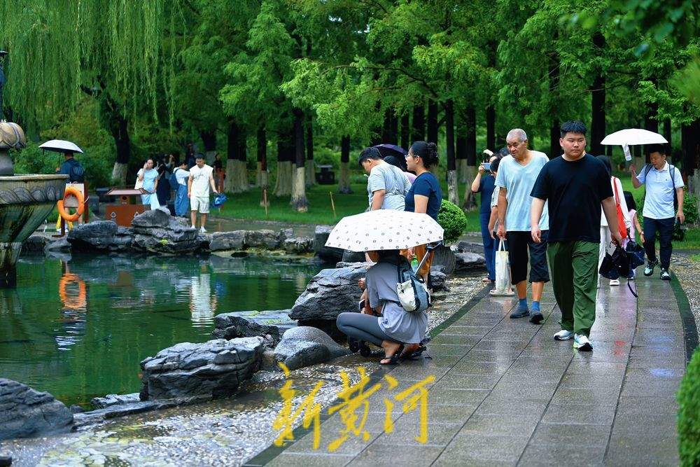 一年四季 泉在济南丨雨后五龙潭人气旺 “龙潭观鱼”别有意境