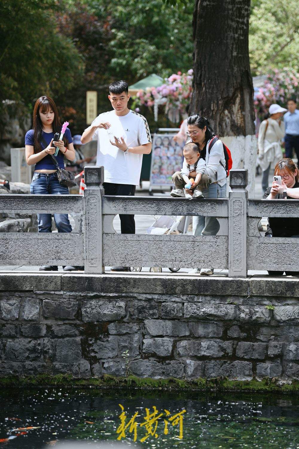 “初夏感”满满，市民护城河畔漫步享清凉
