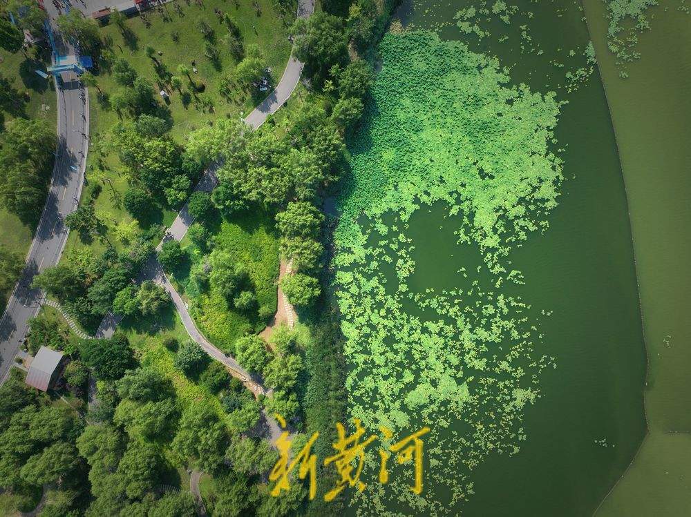 雨后华山湖云雾缭绕 翠柳点缀