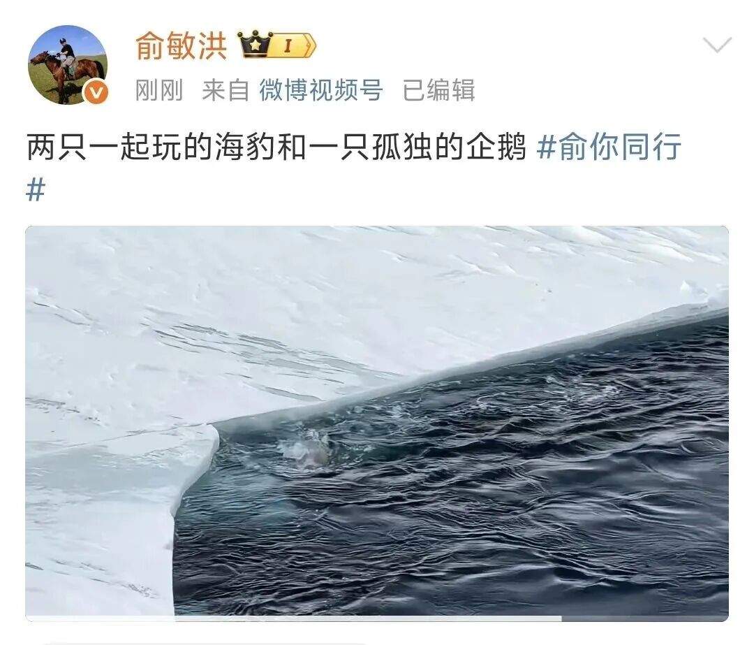遭员工吐槽后，俞敏洪连发8条南极游视频；此前发内部信引争议，打工人表示无法共情