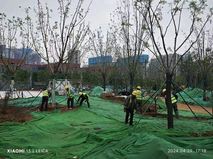 建设如火如荼！家门口又添新风景，济南今年已有45处公园开工