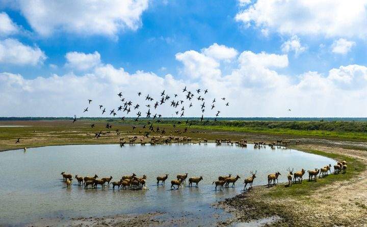 思想之光照亮奋进之路——以习近平同志为核心的党中央引领中国经济社会高质量发展迈向新境界