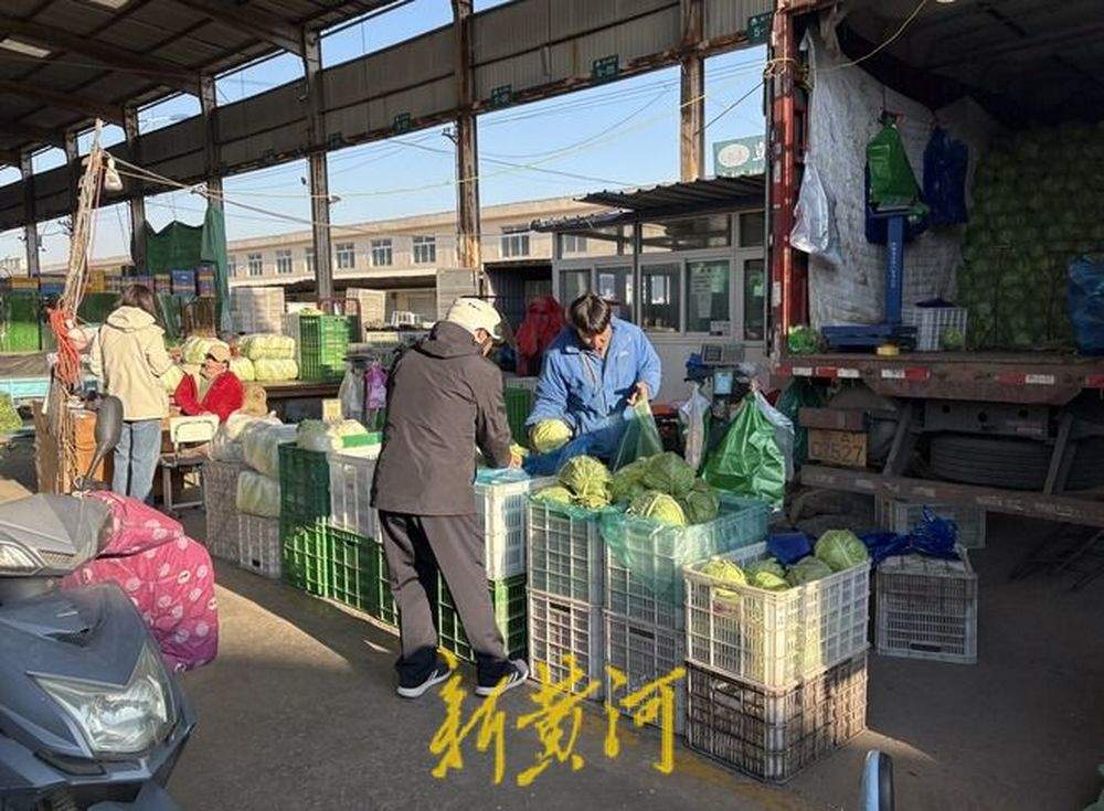 大白菜批发价每斤不到6毛钱，济南菜价更亲民了