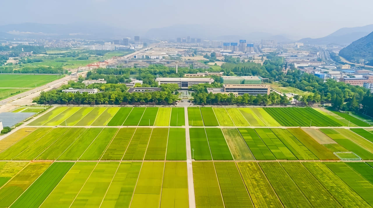 第一视点·记者手记丨谋事之基 成事之道——习近平在浙江的调研故事