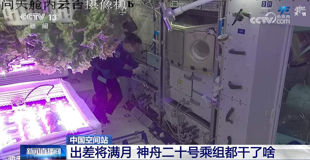 出差将满月 一起看神舟二十号乘组都干了啥