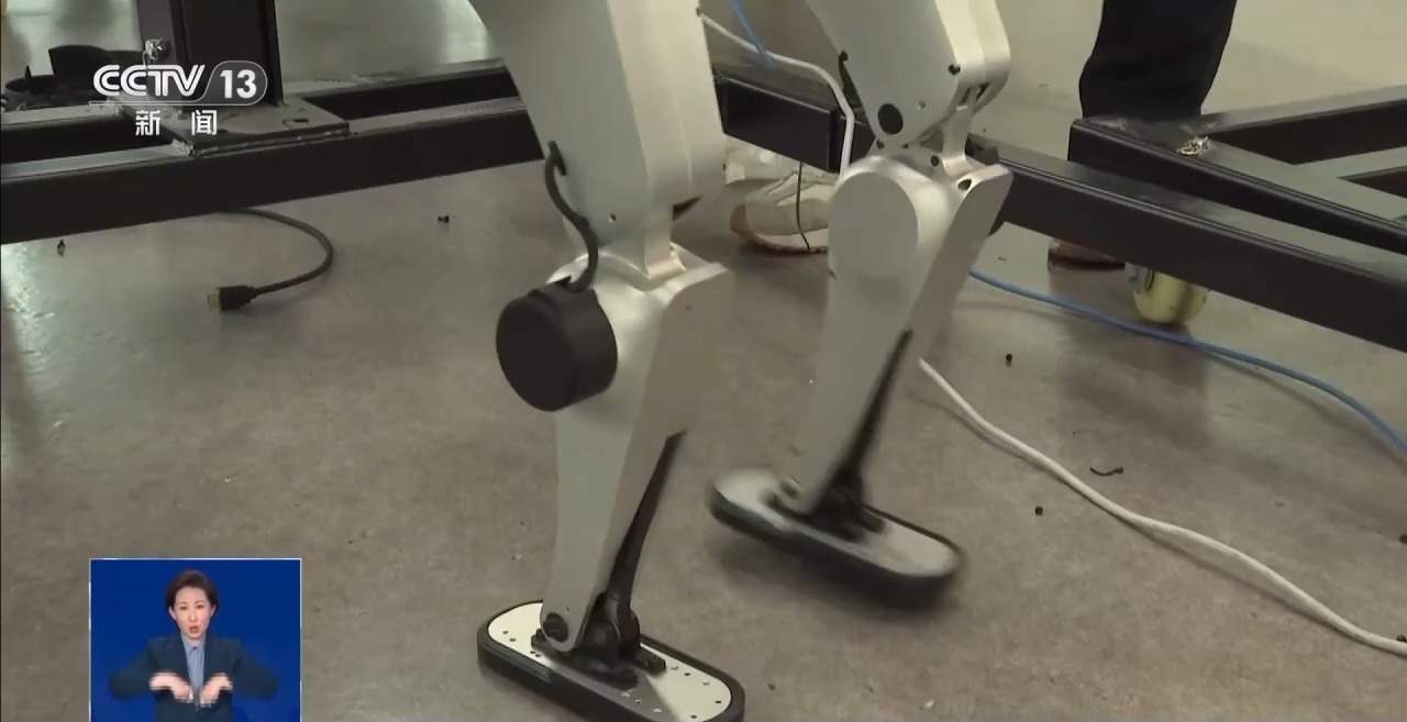 全球首个，即将开跑！机器人选手准备得如何？