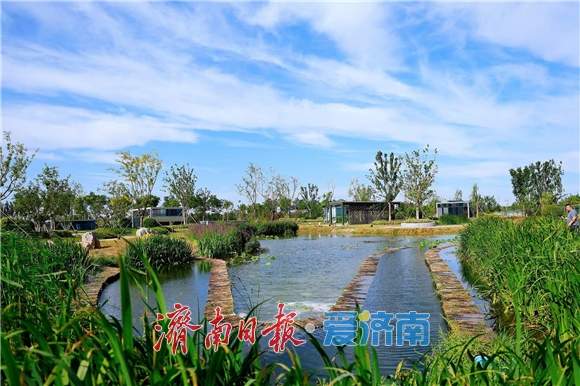 全市城市更新和乡村振兴现场推进会到起步区天桥区槐荫区市中区调研 刘强于海田韩金峰杨峰参加活动