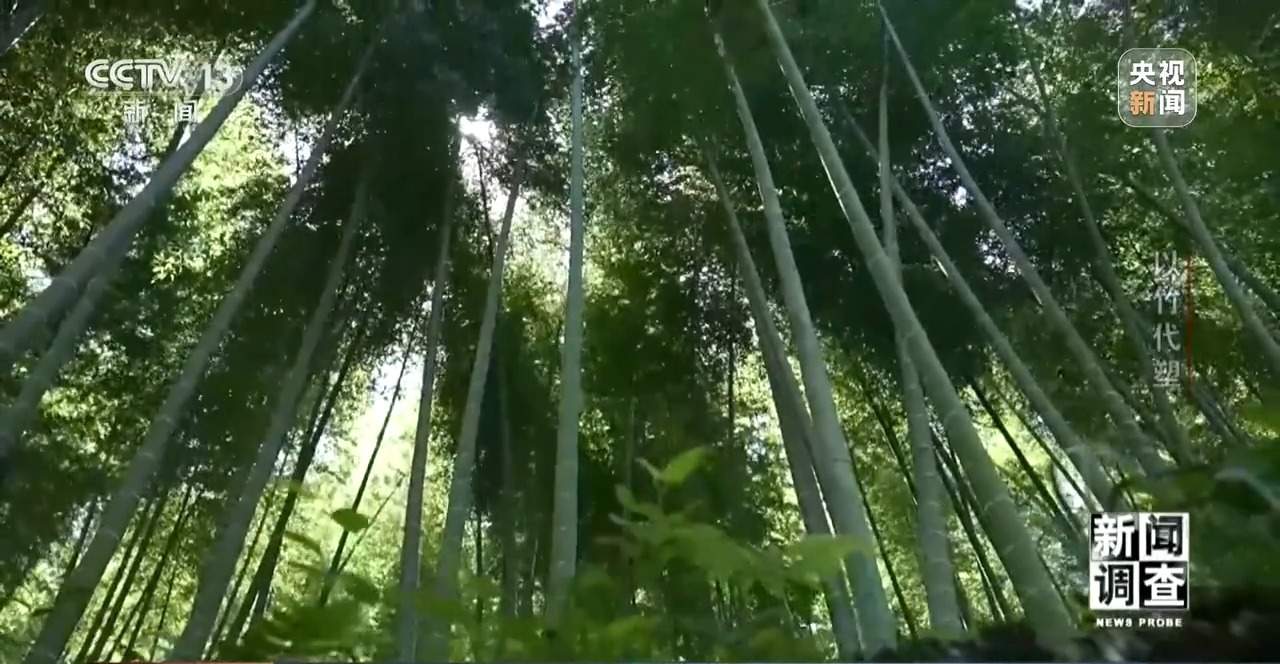 竹子做成无人机 闯进汽车圈 一根竹子的潜力远超想象