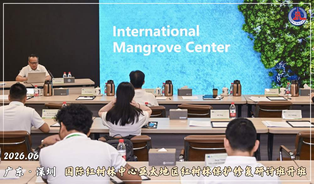 镜观·回响｜守护红树林 中国在行动