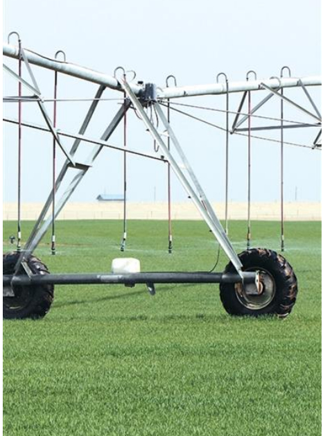 人民日报海外版看新疆 