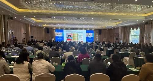 国家科技重大项目扎根云南，红云绞股蓝全产业链模式助力中医药现代化与乡村振兴！