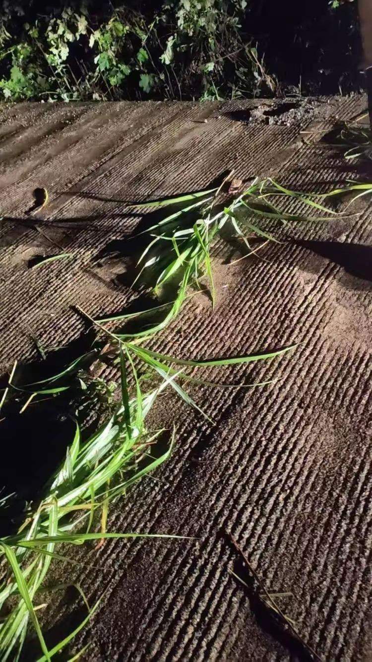 安葬老人必经之路被人撒了上百颗钉子,村民讲述事件细节,官方回应:正处理