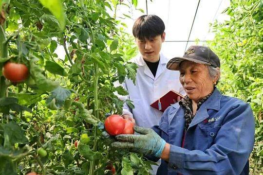 “最强大脑”×“田秀才”：齐鲁粮仓的底气所在