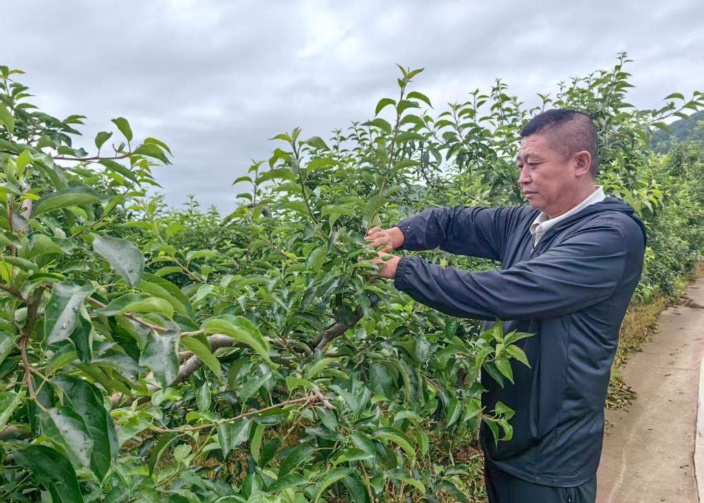 铭记历史 缅怀先烈丨烽起“磐石”传薪火——东北抗联创建地的振兴新篇