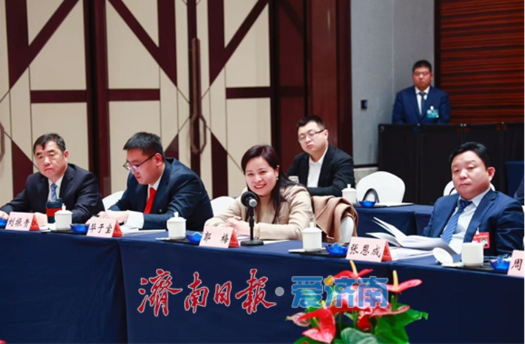 人大代表分组审议市人大常委会工作报告和“两院”工作报告
