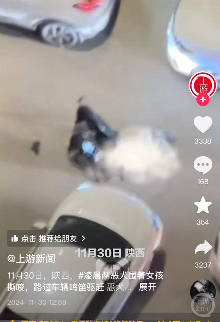 西安西郊两只大型犬围咬一女子被路过车辆驱赶，知情者：狗主人已接受调查