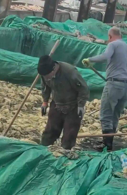 男子在酸菜池中全程抽烟还随口乱吐?当地回应:相关领导已抵达现场调查