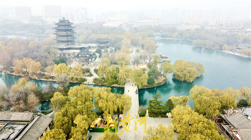 冬日大明湖：雾锁湖光，柳染冬韵