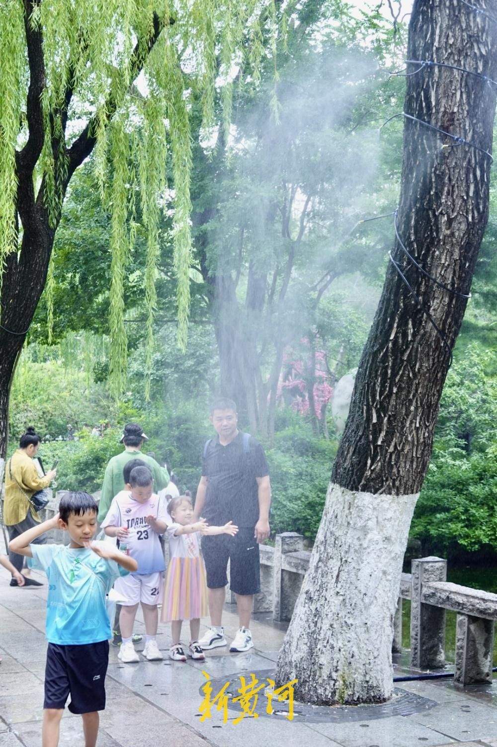 泉水景致焕新 解锁济南夏日泉水纳凉新体验