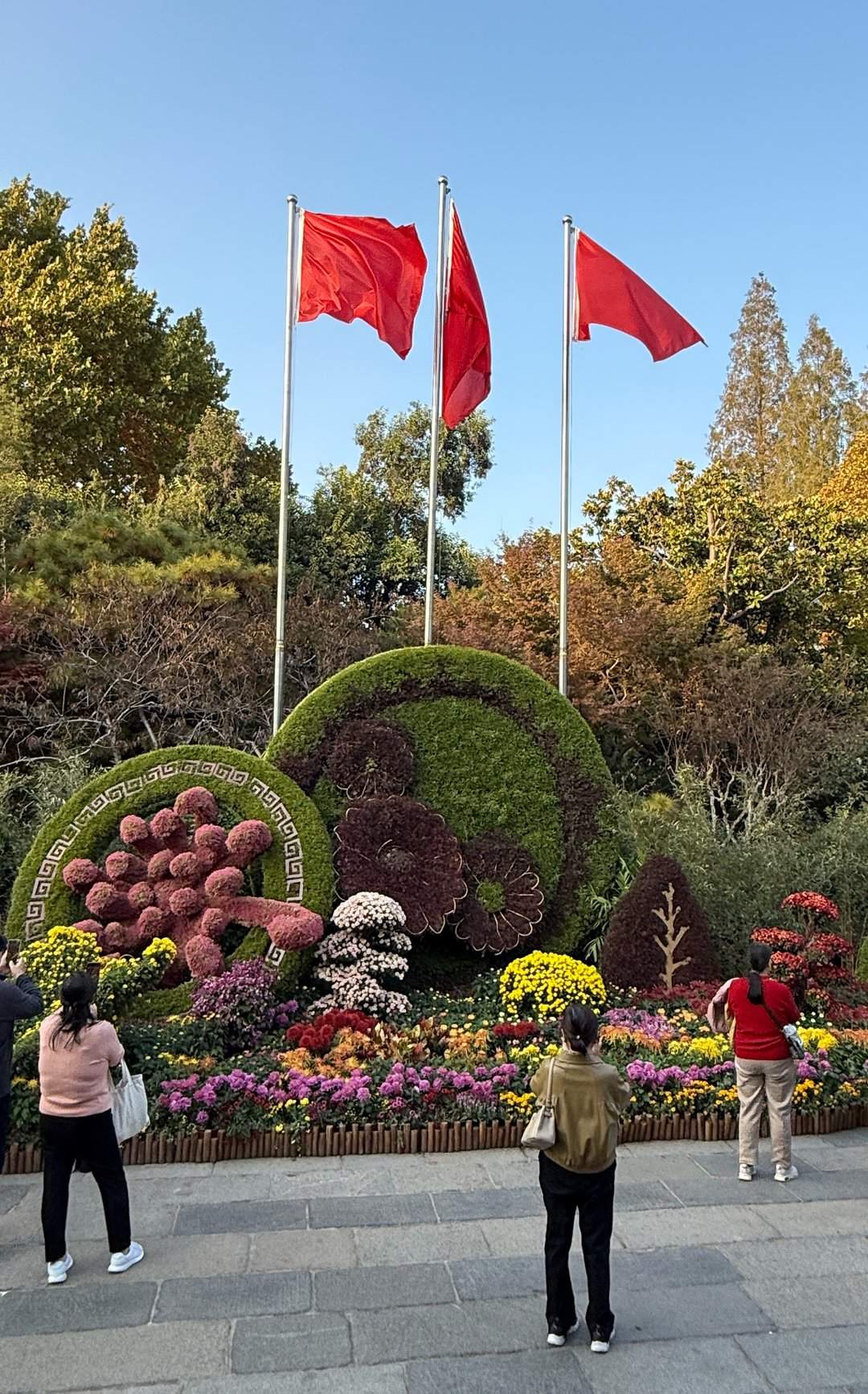 五颜六色，造型各异，趵突泉金秋菊展精品菊撷英