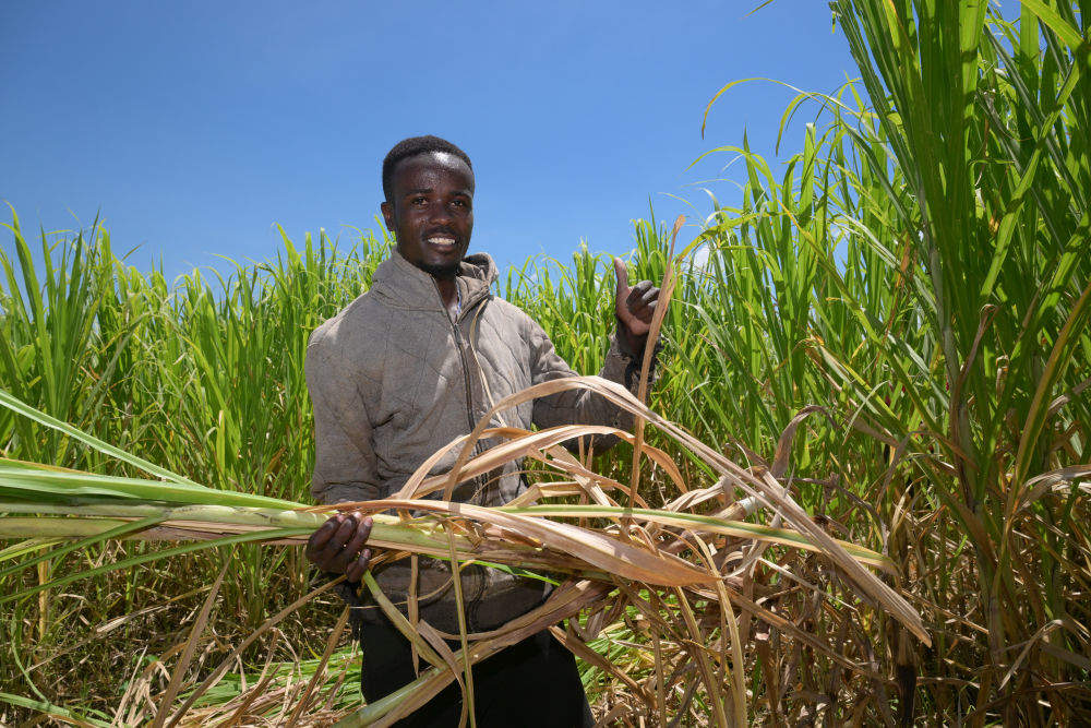 特稿｜同心七十载 聚力新未来——中非携手共逐发展振兴梦