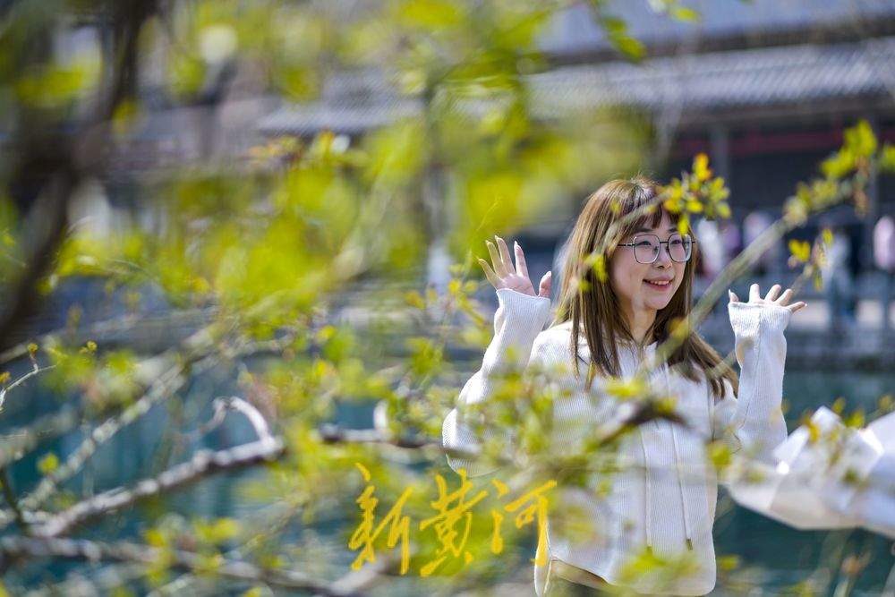 仲春时节开启“追花游”，济南踏青赏花热度攀升