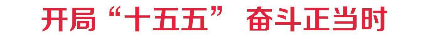 外贸的韧性从何而来
