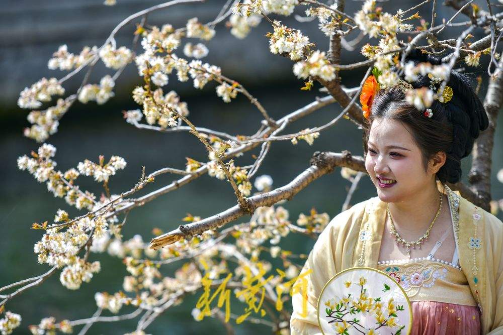 济南护城河畔“独树一枝”变身网红打卡点
