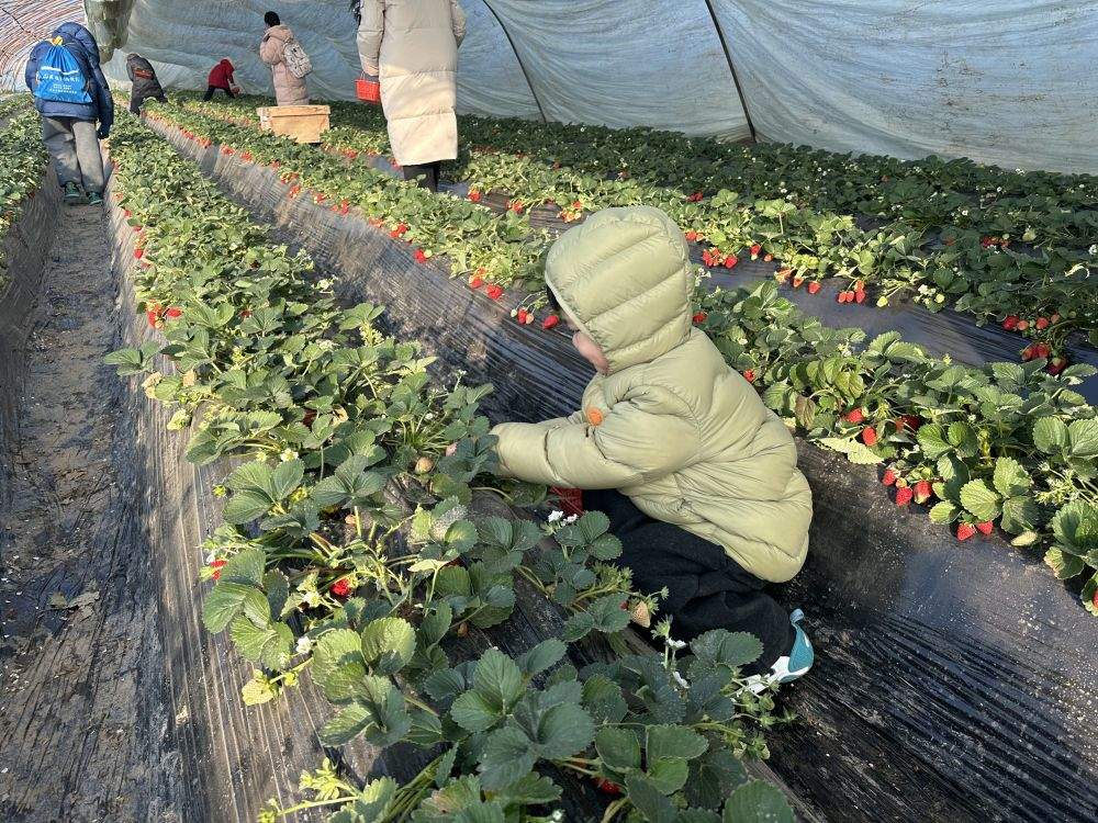 习近平总书记关切事｜经济大省勇挑大梁