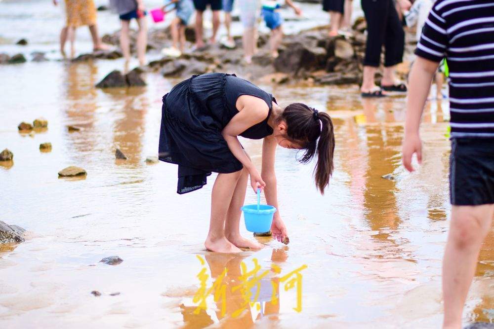 踏浪赶海讨海货，夏日来山东玩海吧