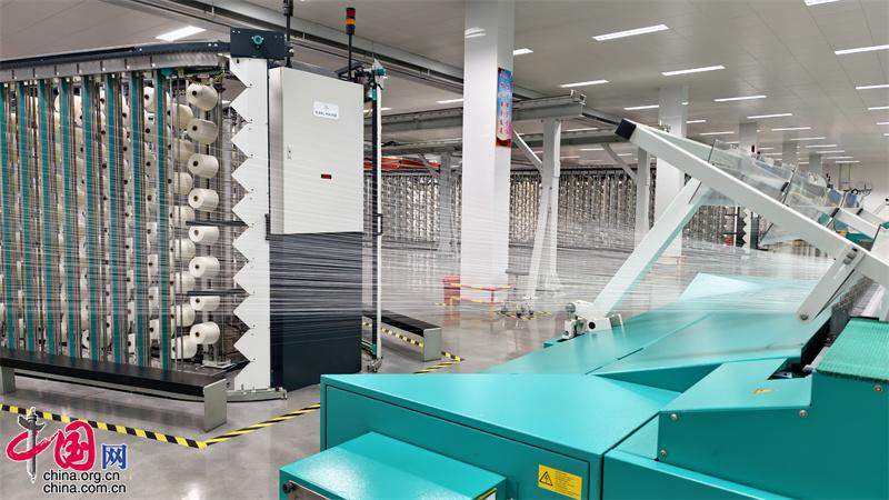 山东“冠军制造”实力出圈：大而全筑根基 精且尖拔头筹