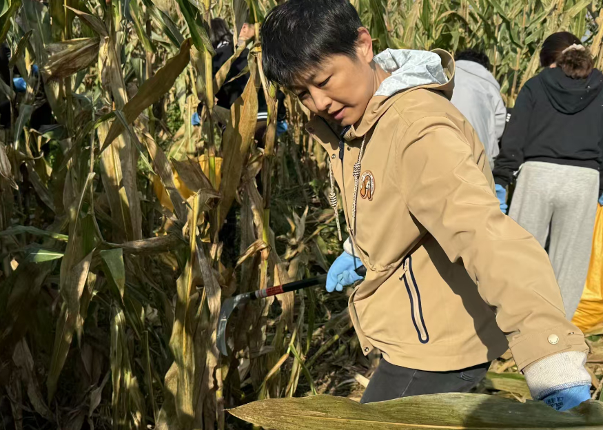 躬身田野守护“齐鲁粮仓” 农行济南分行全力保障“三秋”生产彰显金融担当