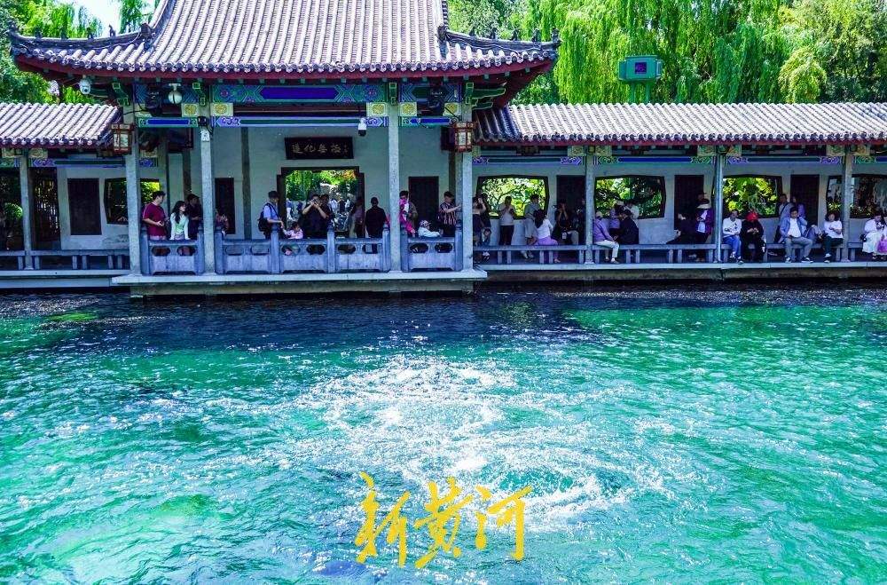 前期强降雨补源效果显著 趵突泉黑虎泉水位双双上涨