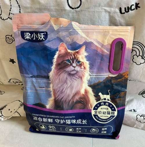 2026 养猫必读｜高性价比猫粮实用推荐 新手避坑指南