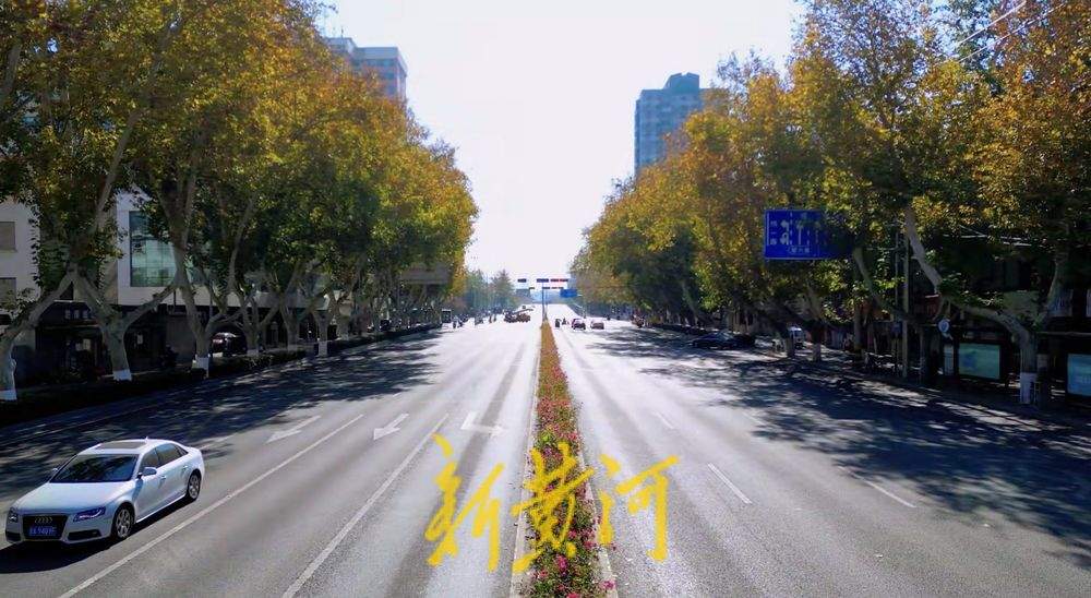 一年四季 泉在济南丨冬日花卉扮靓济南道路