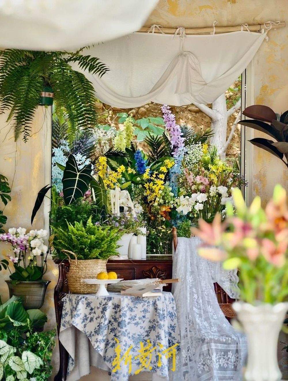 风情花园、儿童乐园、景区焕新……生态玉带“串起”富民链 