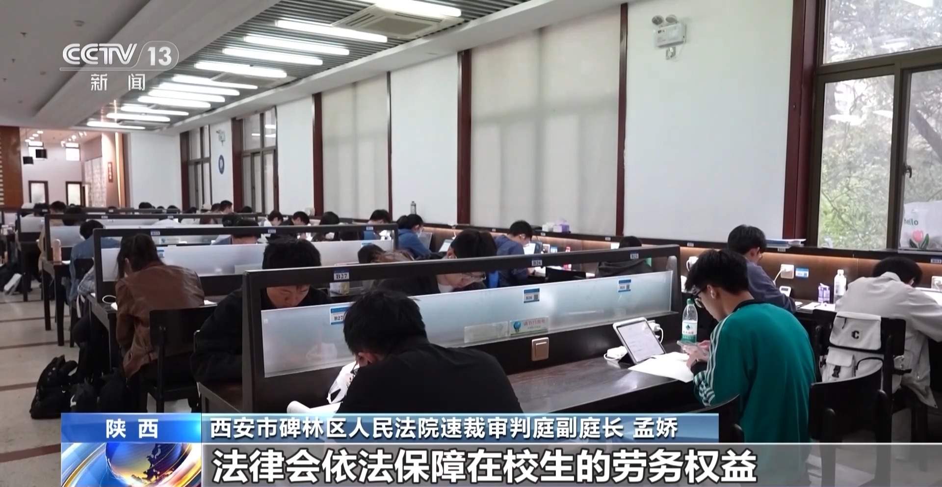 大学生在萌宠店兼职被咬伤，老板因没合同拒赔 法院判了