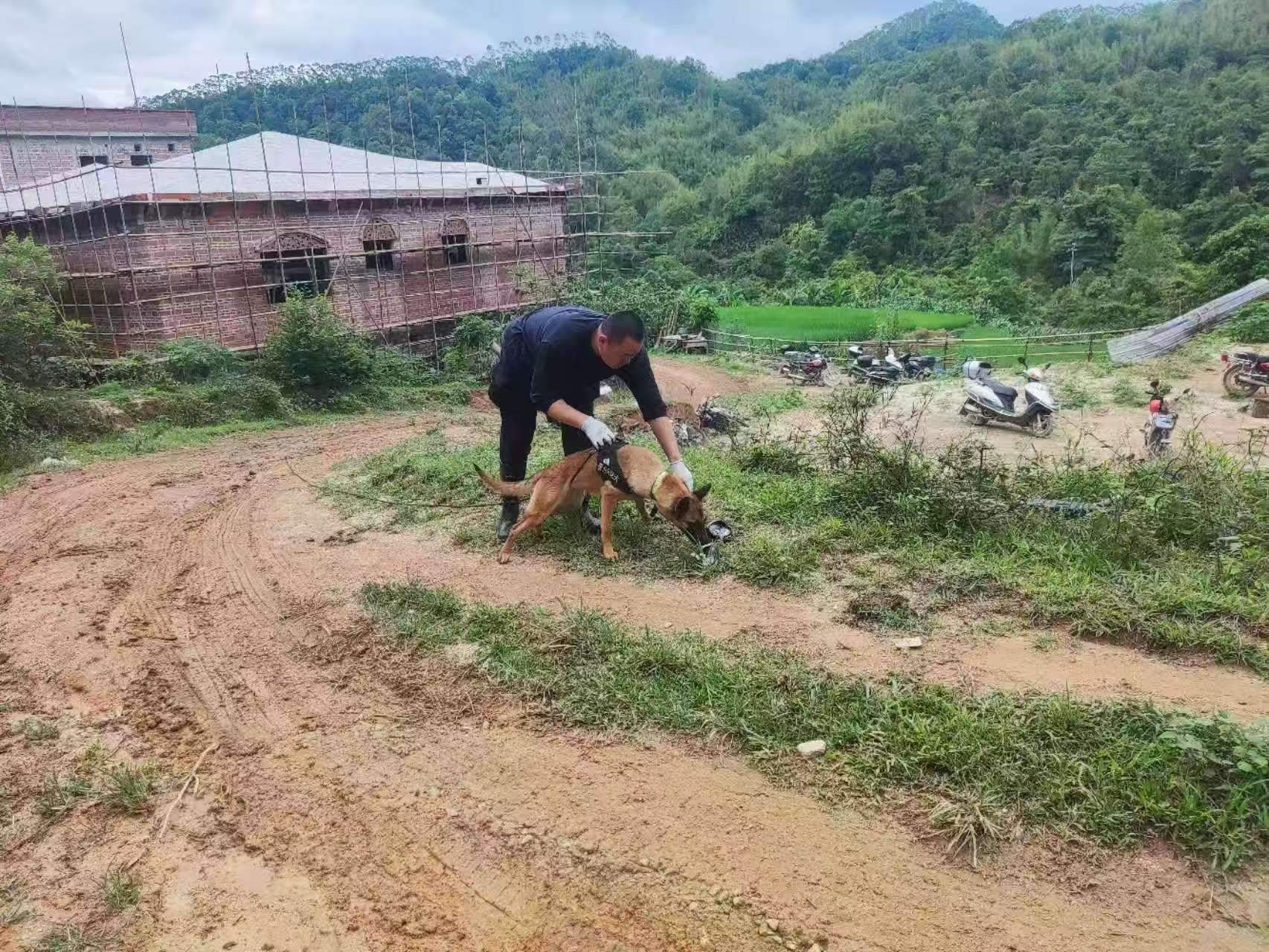 千人接力搜寻十三天 广东肇庆失联特殊男童深山获救