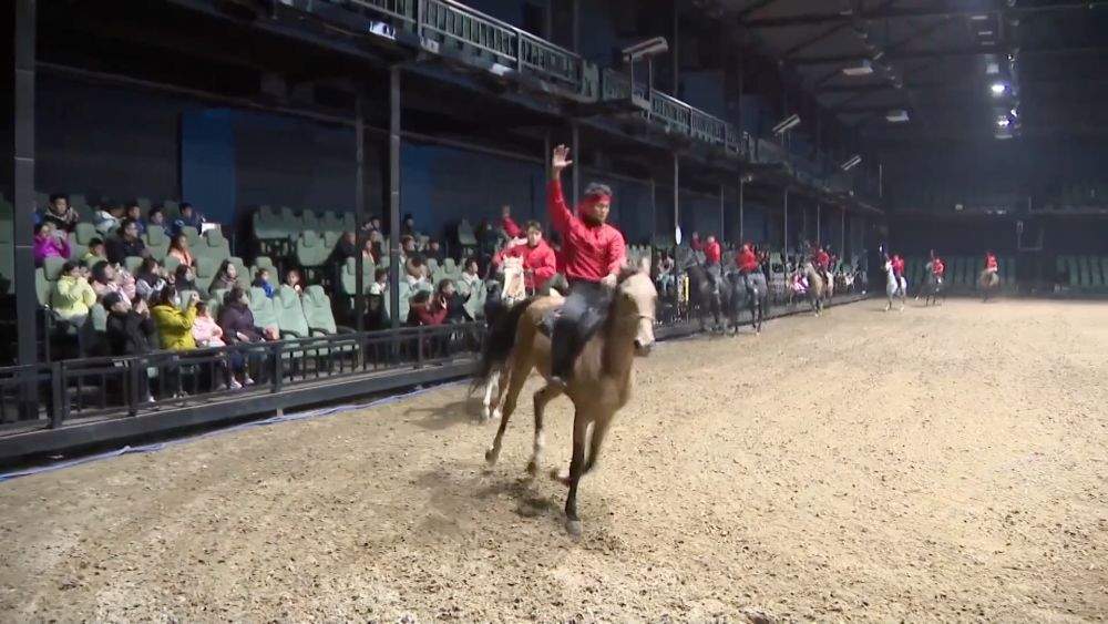 新华视点|乘冬而起 向雪而行——冰雪经济高质量发展新观察
