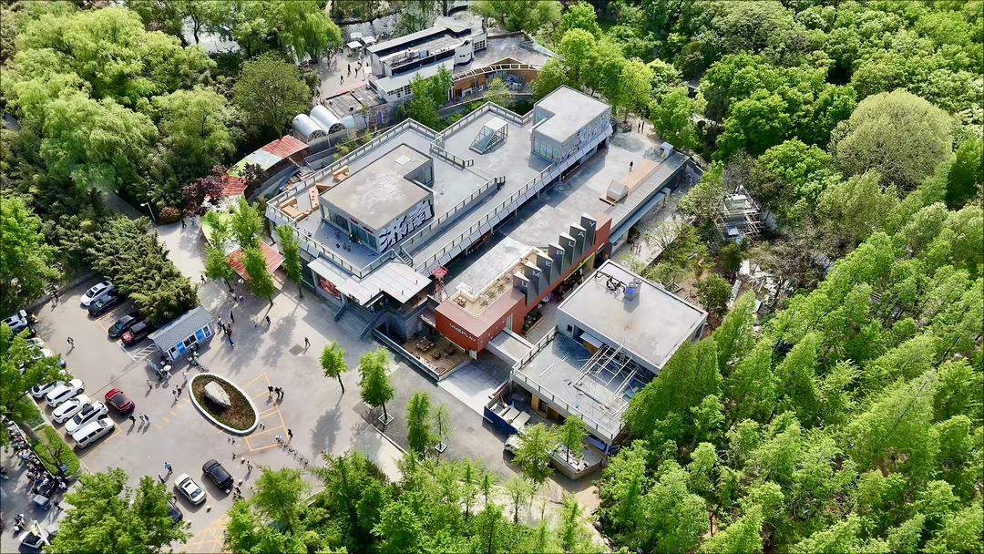 “三新”试点落地见效 泉城商业集群升级