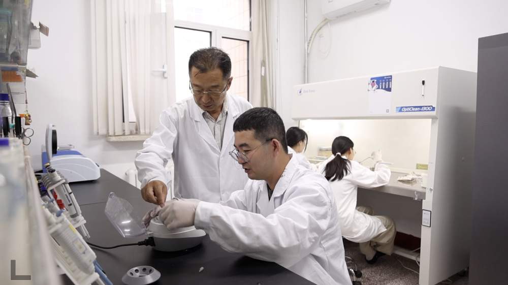 科技报国的时代答卷｜守护民生之“芯”：黄瓜“芯”的创新征途